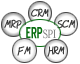 ERP SPI - Enterprise Resource Planning